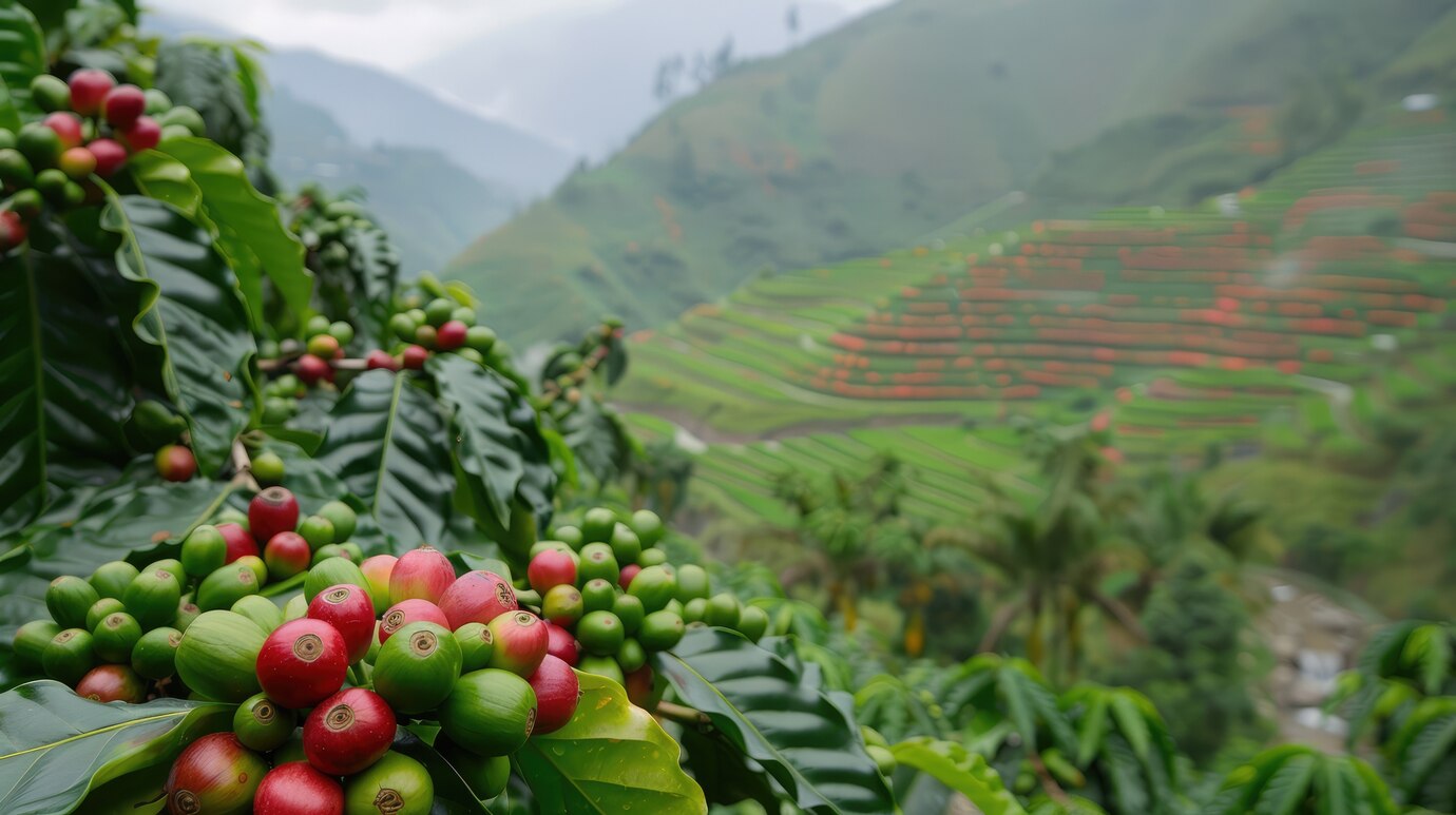 Taste of Wayanad Hills
